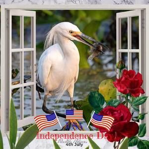 Meet your Posher, Dale-candace